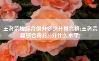 王者荣耀综合得分多少分算合格(王者荣耀综合得分80分什么水平)