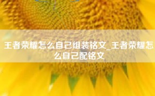 王者荣耀怎么自己组装铭文_王者荣耀怎么自己配铭文