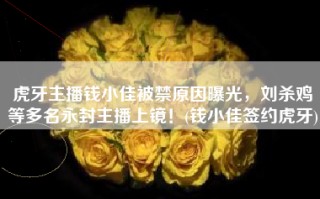 虎牙主播钱小佳被禁原因曝光，刘杀鸡等多名永封主播上镜！(钱小佳签约虎牙)