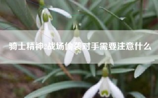 骑士精神2战场偷袭对手需要注意什么
