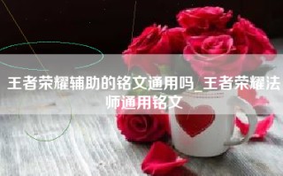 王者荣耀辅助的铭文通用吗_王者荣耀法师通用铭文