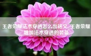 王者荣耀法术穿透怎么出铭文_王者荣耀增加法术穿透的装备