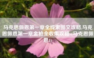马克思佩恩第一章全线索图文攻略,马克思佩恩第一章金枪全收集攻略-(马克思佩恩4)
