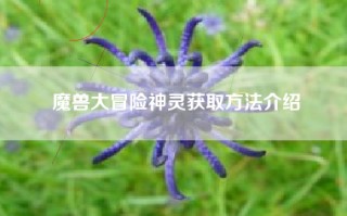 魔兽大冒险神灵获取方法介绍