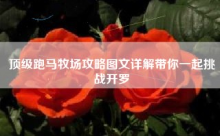顶级跑马牧场攻略图文详解带你一起挑战开罗