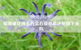 暗黑破坏神不朽宝石镶嵌后还能摘下来吗