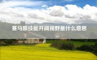 赛马娘技能开阔视野是什么意思