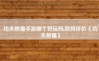 功夫熊猫手游哪个好玩吗,如何评价《功夫熊猫》