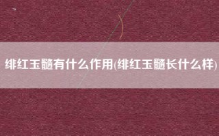 绯红玉髓有什么作用(绯红玉髓长什么样)