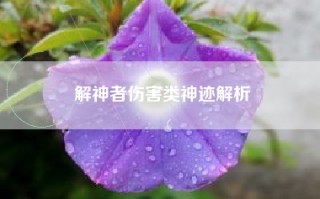 解神者伤害类神迹解析