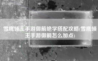 雪鹰领主手游御箭绝学搭配攻略(雪鹰领主手游御箭怎么加点)