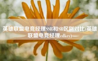 英雄联盟电竞经理SSR和SR区别对比(英雄联盟电竞经理cdkey)