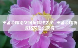王者荣耀铭文祸源属性大全_王者荣耀祸源铭文怎么获得
