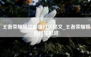 王者荣耀韩信最强打法铭文_王者荣耀韩信打法思路