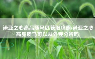 诺亚之心高品质马匹获取攻略(诺亚之心高品质马可以从外观分辨吗)