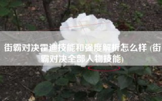 街霸对决霍迪技能和强度解析怎么样 (街霸对决全部人物技能)