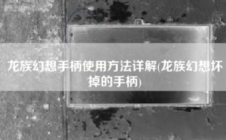 龙族幻想手柄使用方法详解(龙族幻想坏掉的手柄)