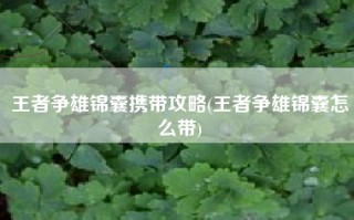 王者争雄锦囊携带攻略(王者争雄锦囊怎么带)