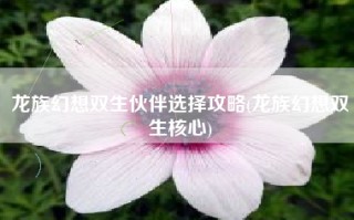 龙族幻想双生伙伴选择攻略(龙族幻想双生核心)