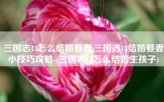 三国志13怎么结婚娶妻,三国志13结婚娶妻小技巧攻略-(三国志13怎么结婚生孩子)