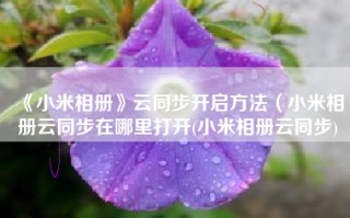 《小米相册》云同步开启方法（小米相册云同步在哪里打开(小米相册云同步)