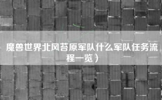 魔兽世界北风苔原军队什么军队任务流程一览）