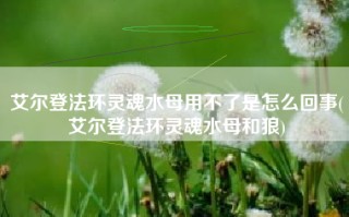 艾尔登法环灵魂水母用不了是怎么回事(艾尔登法环灵魂水母和狼)