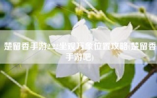 楚留香手游2.22坐观万象位置攻略(楚留香手游吧)