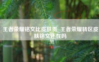 王者荣耀铭文比皮肤贵_王者荣耀转区皮肤铭文还在吗