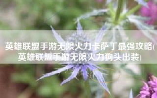 英雄联盟手游无限火力卡萨丁最强攻略(英雄联盟手游无限火力狗头出装)