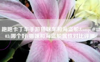 跑跑卡丁车手游猫咪车和海盗船&#8203;哪个好(猫咪和海盗船属性对比评测)