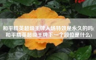 和平精英超级王牌入场特效是永久的吗(和平精英超级王牌下一个段位是什么)