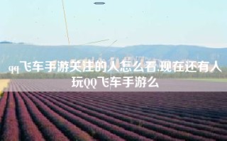 qq飞车手游关注的人怎么看,现在还有人玩QQ飞车手游么