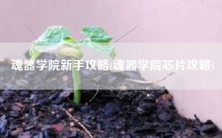 魂器学院新手攻略(魂器学院芯片攻略)