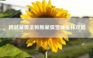 跨越星弧圣帕斯星弧雪域密林攻略