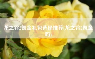 龙之谷2氪金礼包选择推荐(龙之谷2氪金吗)