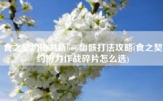 食之契约协力新boss幽骸打法攻略(食之契约协力作战碎片怎么选)