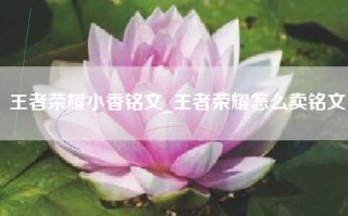 王者荣耀小香铭文_王者荣耀怎么卖铭文