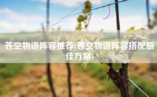 苍空物语阵容推荐(苍空物语阵容搭配最佳方案)