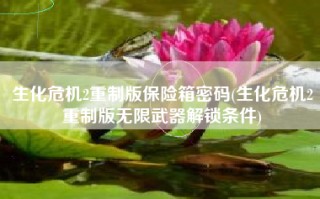 生化危机2重制版保险箱密码(生化危机2重制版无限武器解锁条件)