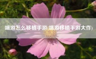 端游怎么移植手游(端游移植手游大作)