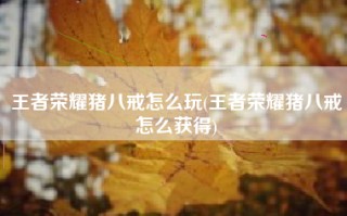 王者荣耀猪八戒怎么玩(王者荣耀猪八戒怎么获得)