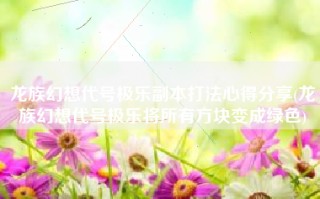 龙族幻想代号极乐副本打法心得分享(龙族幻想代号极乐将所有方块变成绿色)