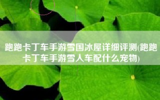 跑跑卡丁车手游雪国冰屋详细评测(跑跑卡丁车手游雪人车配什么宠物)
