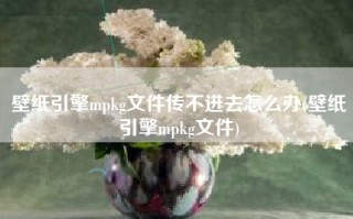 壁纸引擎mpkg文件传不进去怎么办(壁纸引擎mpkg文件)