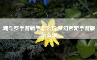 魂斗罗手游新手怎么玩,梦幻西游手游版怎么玩