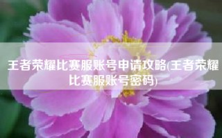 王者荣耀比赛服账号申请攻略(王者荣耀比赛服账号密码)