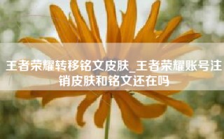 王者荣耀转移铭文皮肤_王者荣耀账号注销皮肤和铭文还在吗