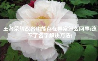 王者荣耀改名功能存在异常怎么回事(改不了名字解决方法)