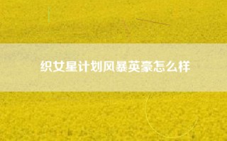 织女星计划风暴英豪怎么样